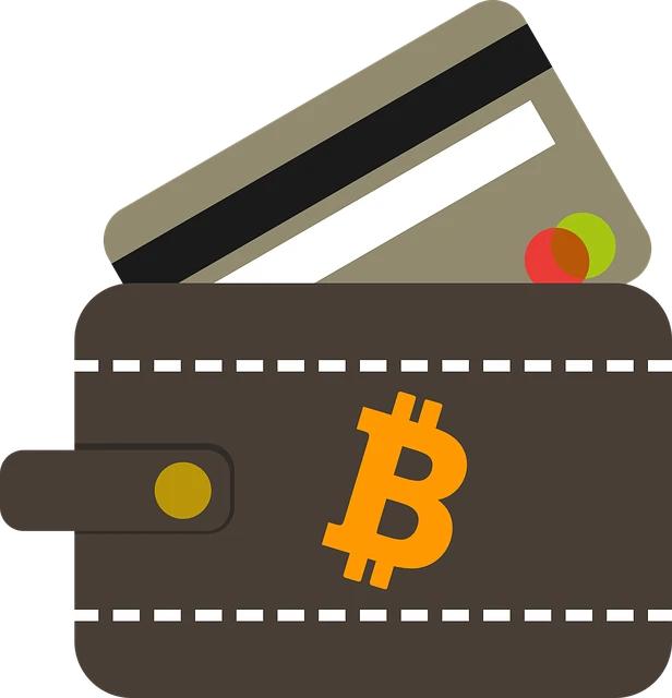 Billetera de bitcoins